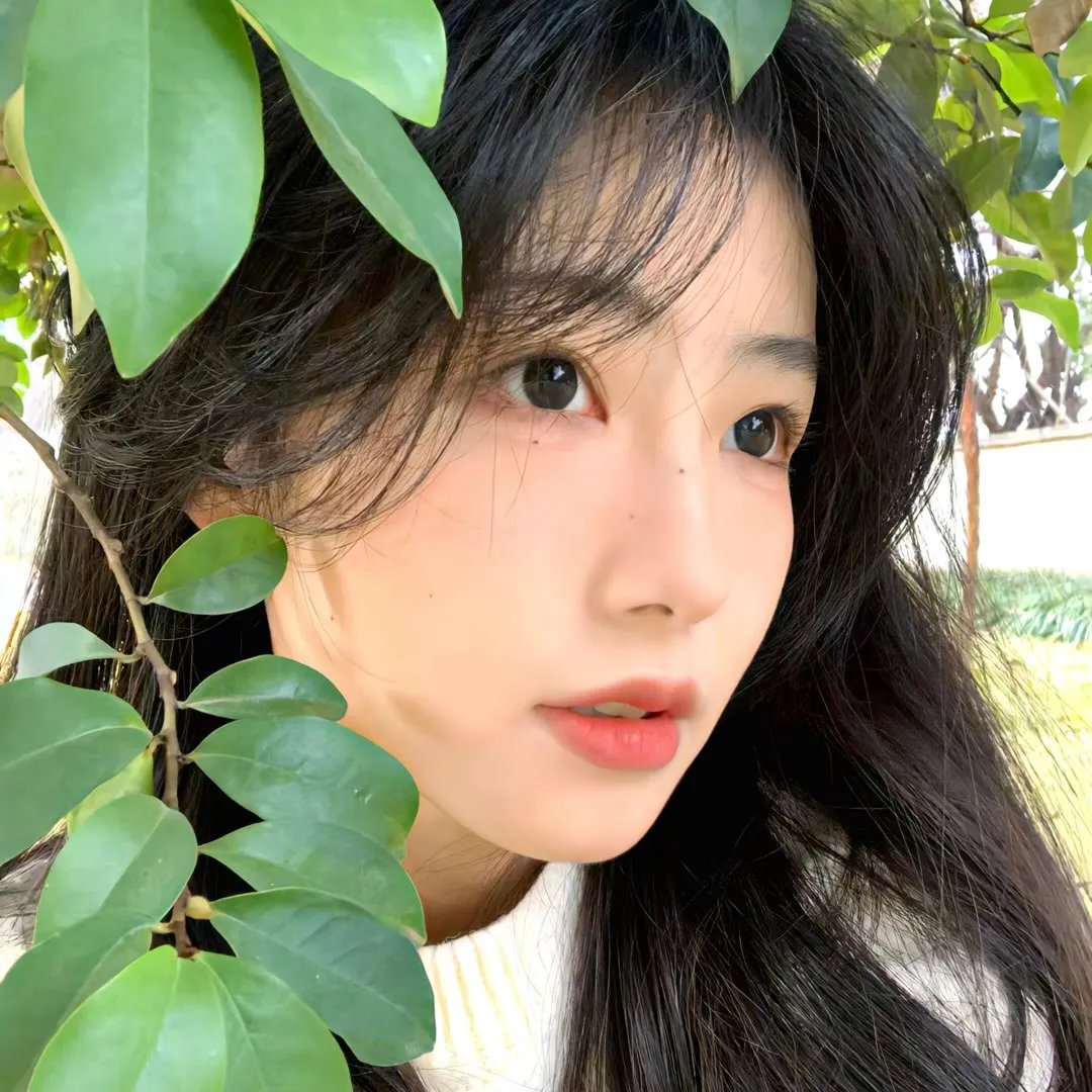 诗人的爱